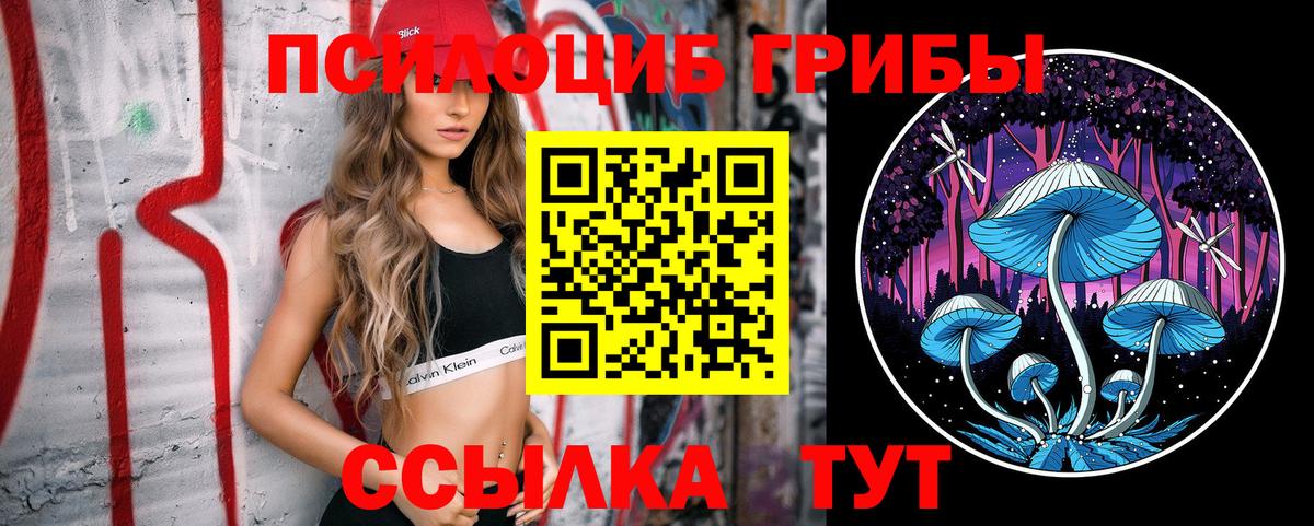 Павловский Посад  Псилоцибиновые грибы MAGIC MUSHROOMS  Вход с VPN  Галлюциногенные грибы ЛСД 