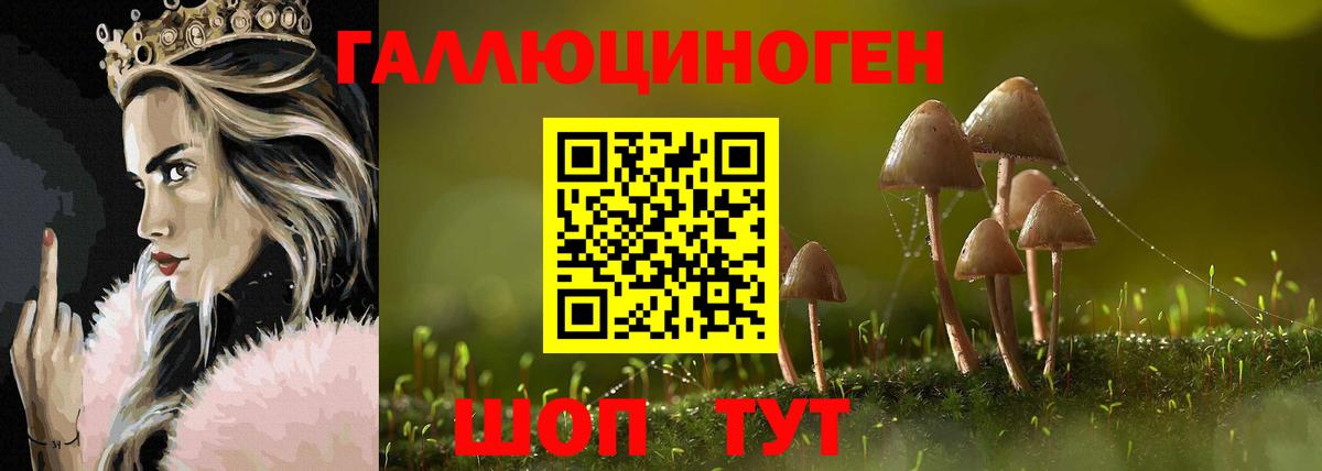 Псилоцибиновые грибы GOLDEN TEACHER Павловский Посад